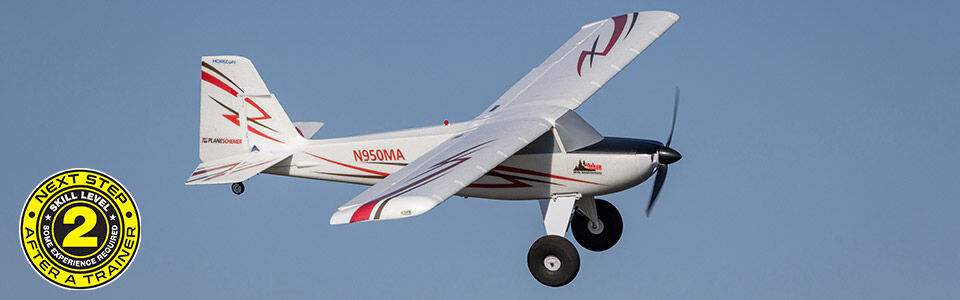 Skill Level 2 - Next Step After Trainer for the E-flite Timber 10-year Anniversary Special Edition 1.5m