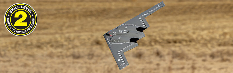 Skill Level 2 for the E-flite Micro B-2 Spirit of America Twin RC Airplane