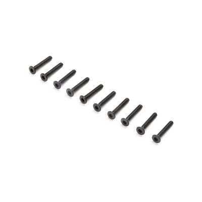 Flat Head Screws, M2x12mm (10) Flat Head Screws, M2x12mm (10)