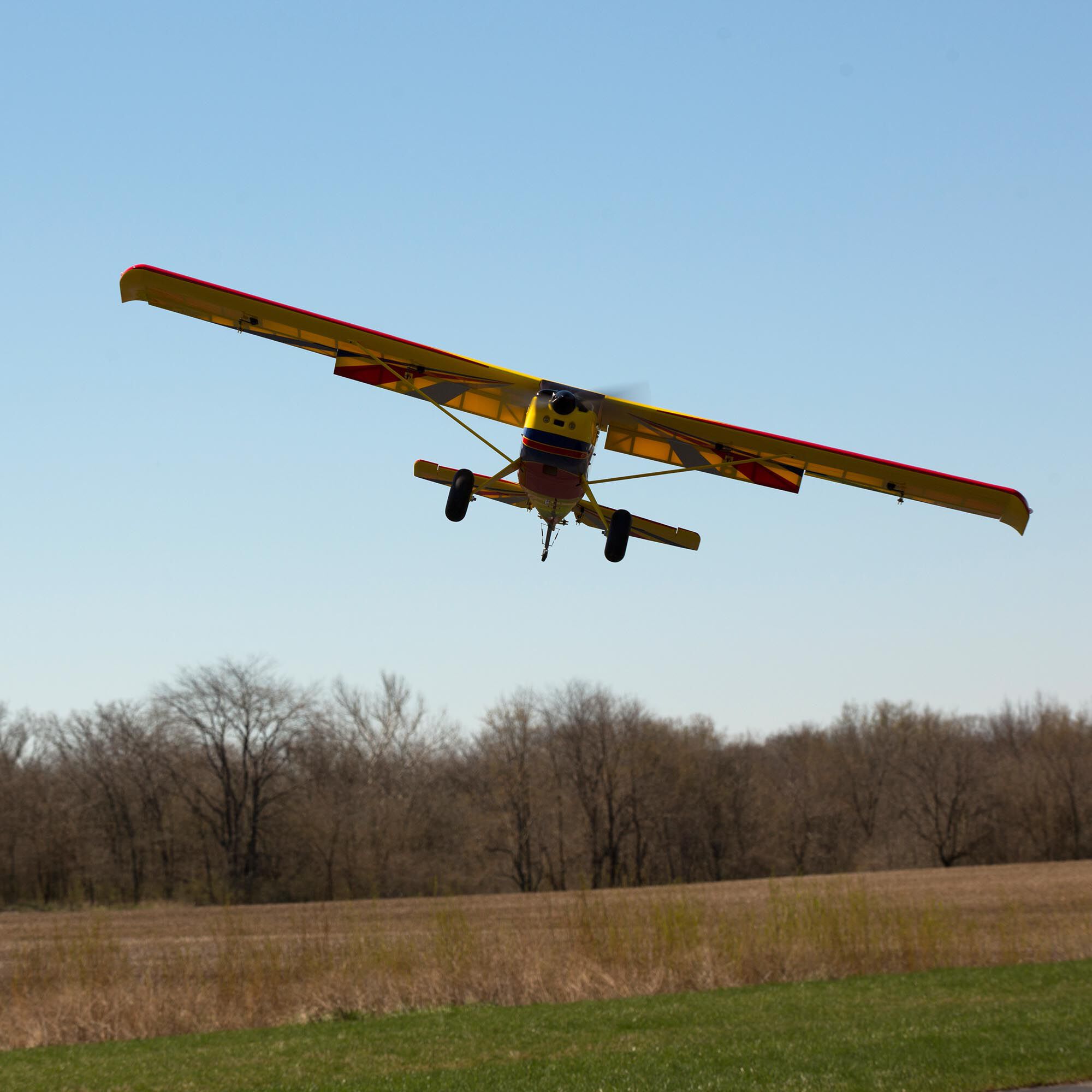 horizon hobby timber xl