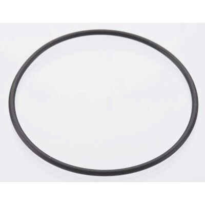 Back Plate O-Ring: DLE-20 Back Plate O-Ring: DLE-20