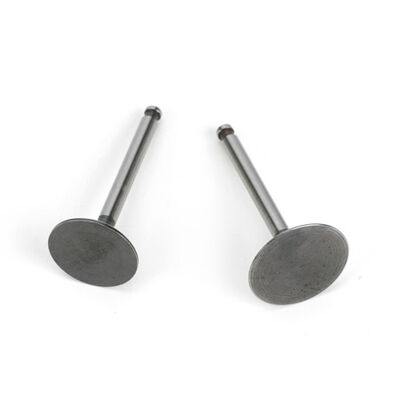 Valve (In & Out) Pair: FG-36: AK, BP Valve (In & Out) Pair: FG-36: AK, BP