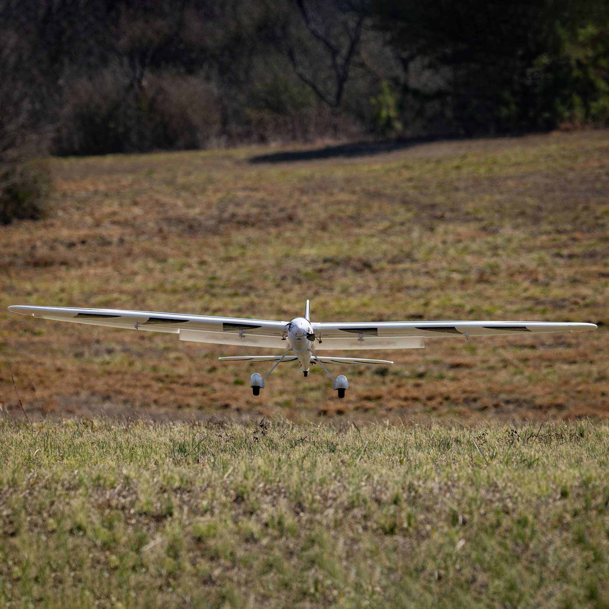 [���ܼ�] EFL32250 [E-FLITE(Blade)] Conscendo 2.0m BNF Basic with AS3X and SAFE Select
