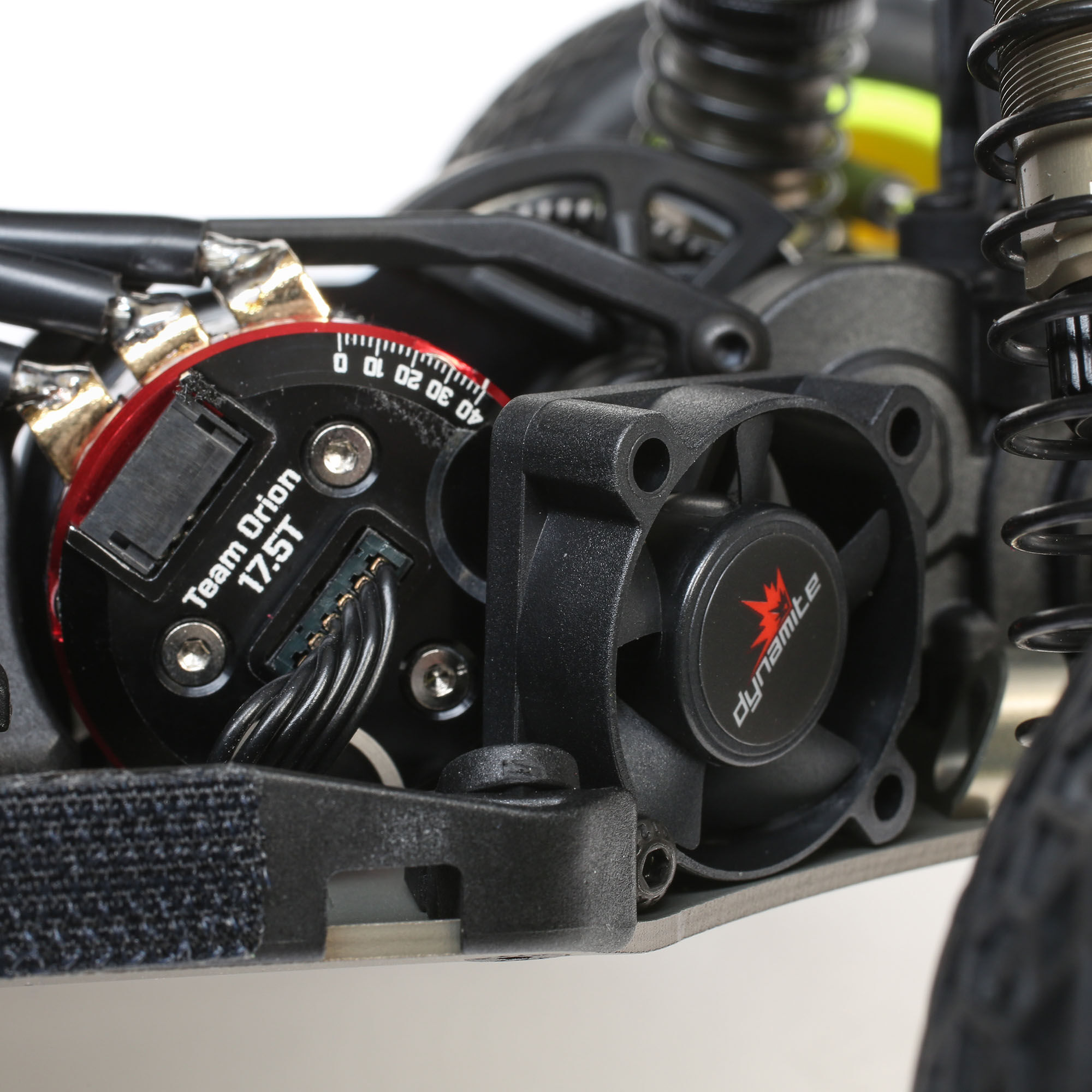 TEAM LOSI RACING- Accesorios, Multicolor (Horizon Hobby