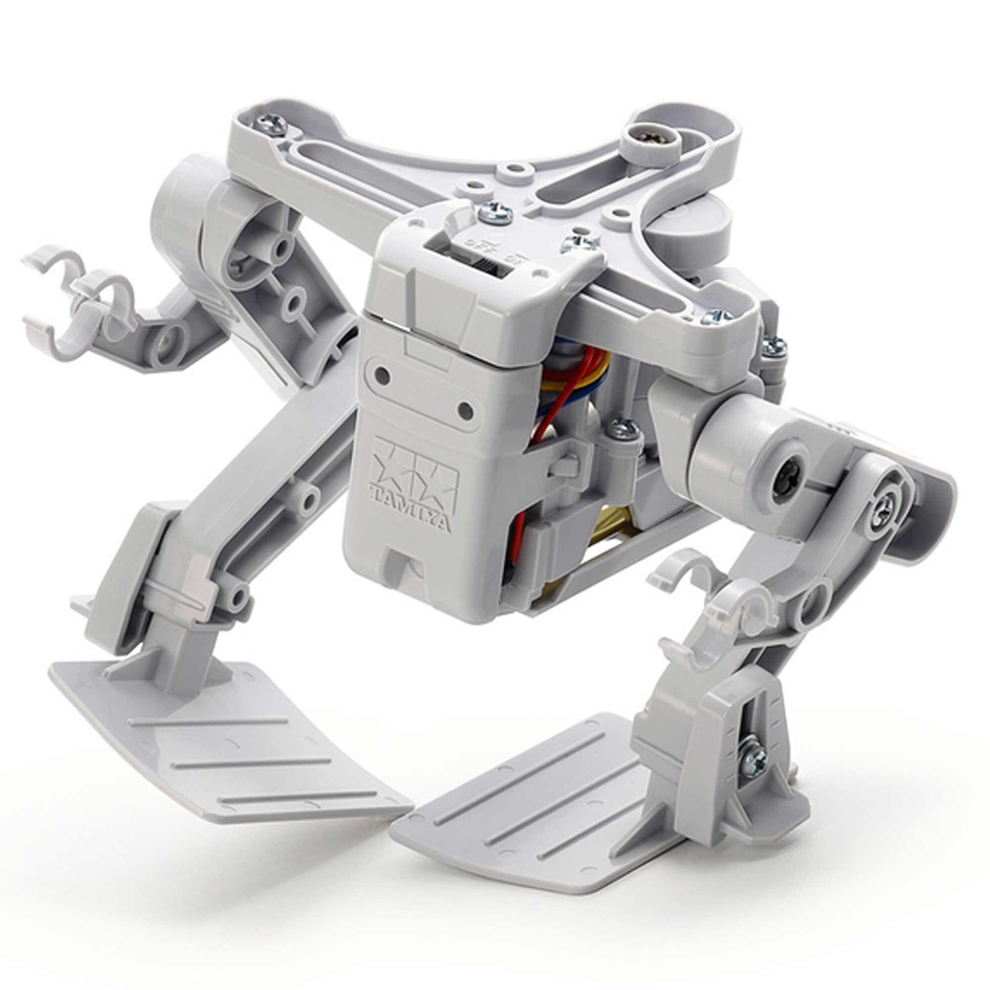 Bipedal Walking Robot