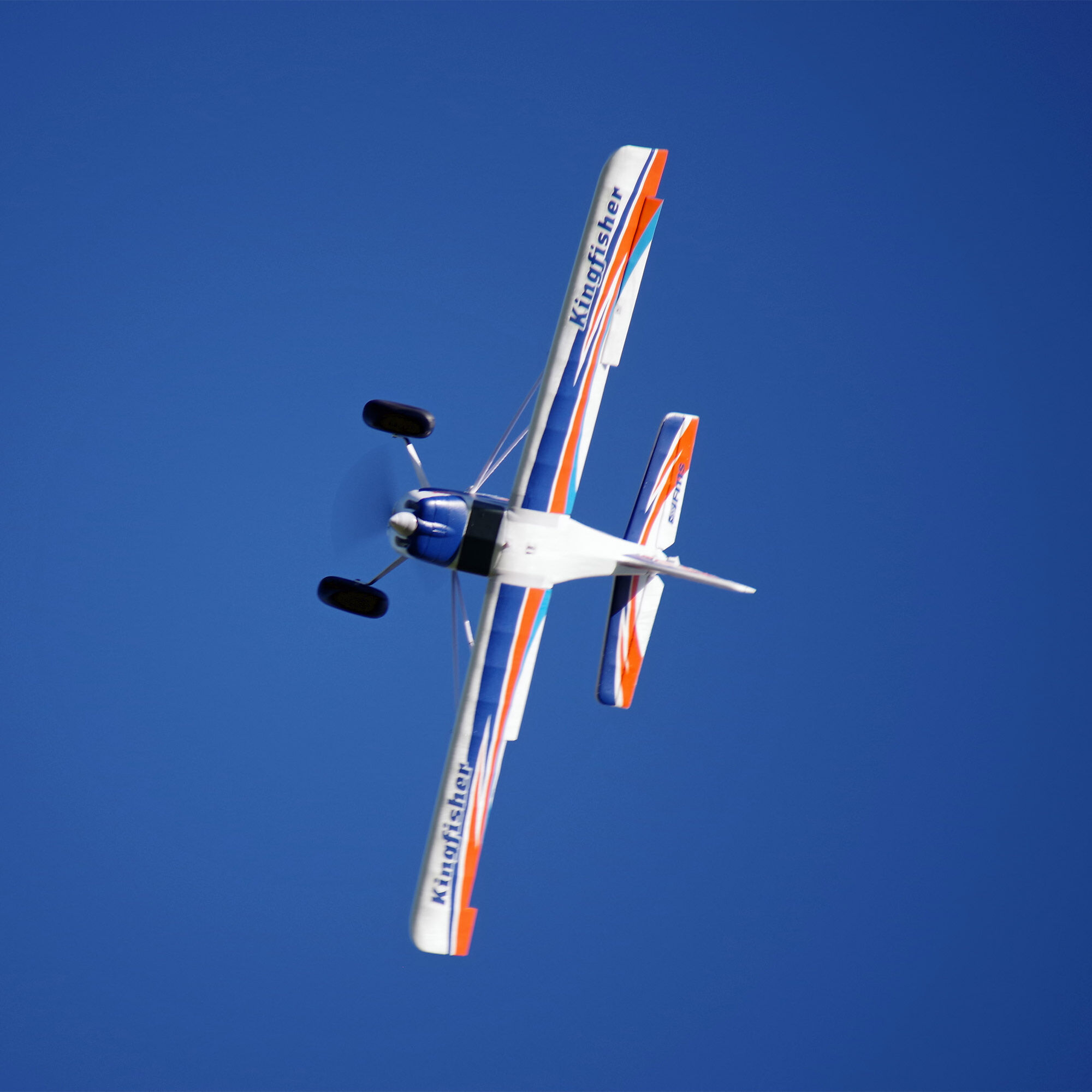 Kingfisher on sale rc plane