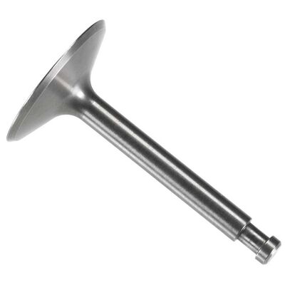 Intake Valve: 200 Surpass Intake Valve: 200 Surpass