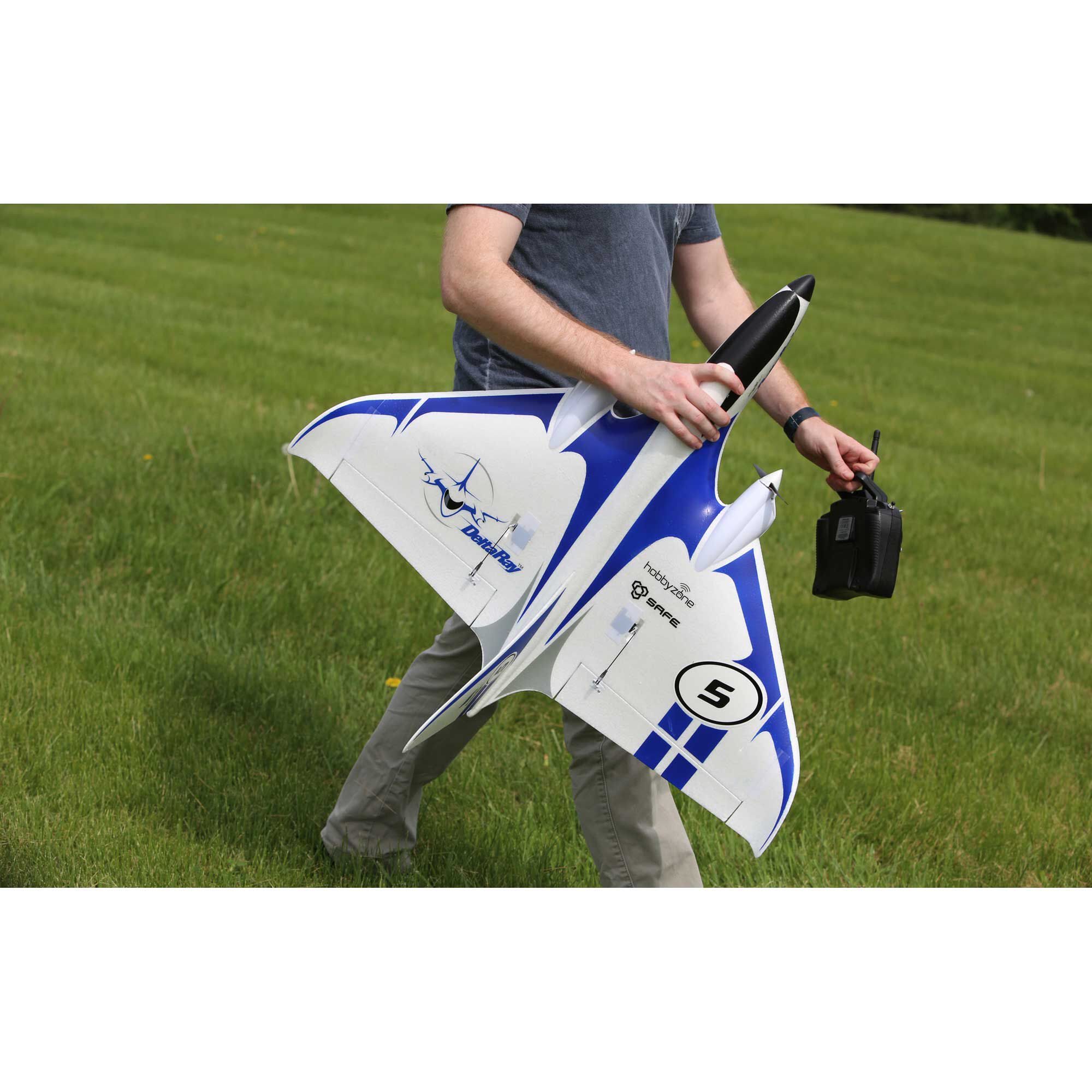 hobbyzone delta ray rtf