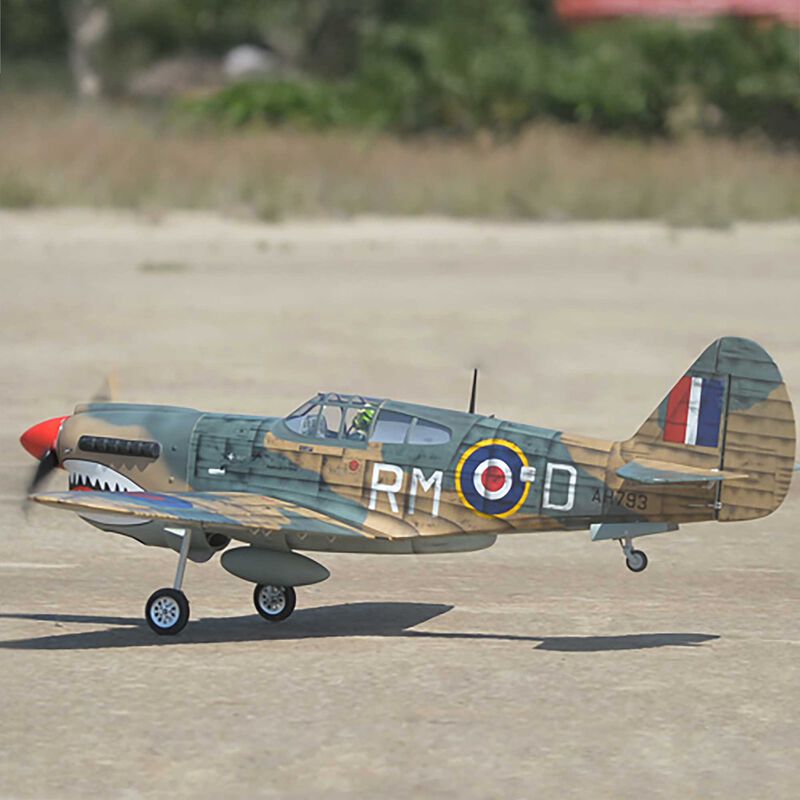 P-40 Warhawk 35-55cc ARF P-40 Warhawk 35-55cc ARF