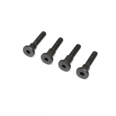 Hinge Screw, Truggy Cage, SCX6 Honcho Hinge Screw, Truggy Cage, SCX6 Honcho