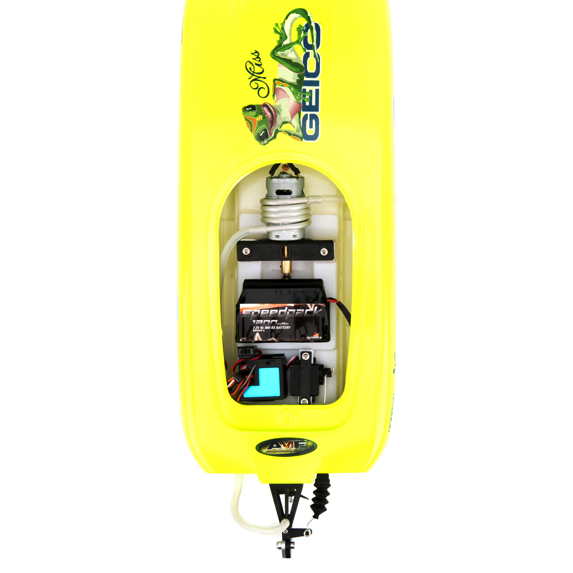 pro boat miss geico 17