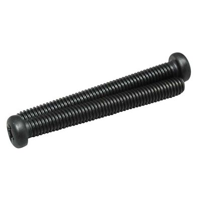 Muffler Screws 10FP FSR (2) Muffler Screws 10FP FSR (2)