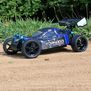 1/10 Tornado EPX PRO Brushless Buggy Blue/Gray