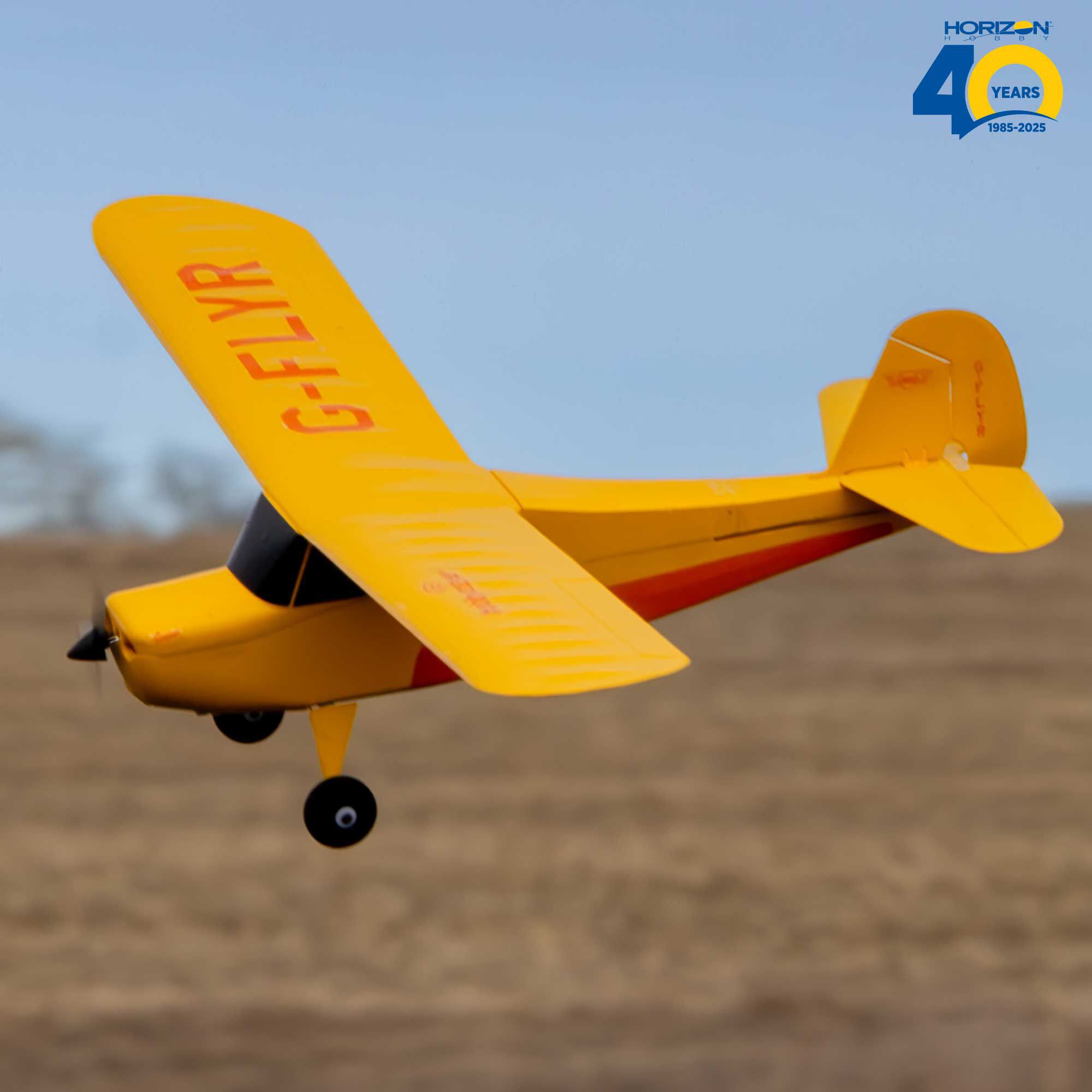 HobbyZone HobbyZone Champ Anniversary Special Edition 515mm BNF