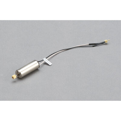 Motor: Sport Cub S Motor: Sport Cub S