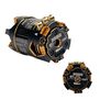 Double Down 13.5T Outlaw Brushless Motor with TEP1149 Rotor