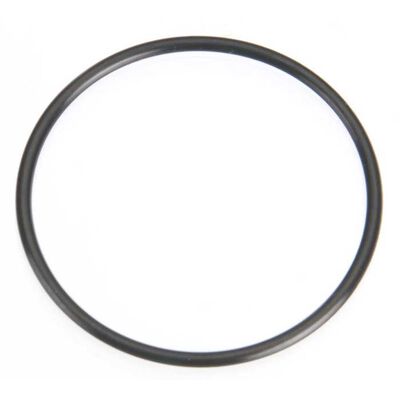 Back Plate Gasket O-Ring: FL70 Back Plate Gasket O-Ring: FL70