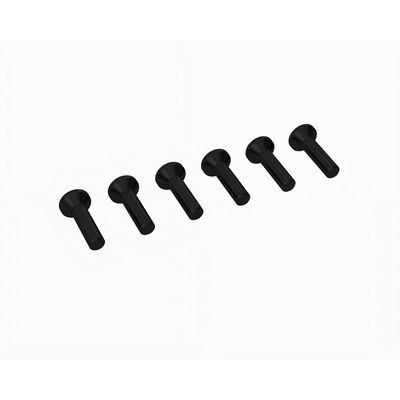 Flat Head Screw M2.5x10mm (6) Flat Head Screw M2.5x10mm (6)