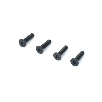 Flat Head Socket Screws, 3x12mm Flat Head Socket Screws, 3x12mm