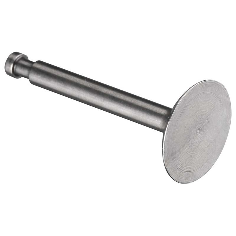 Valve Intake: FS-120 Surpass