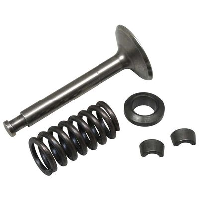 Valve Assembly Intake: FS-91 Surpass Valve Assembly Intake: FS-91 Surpass