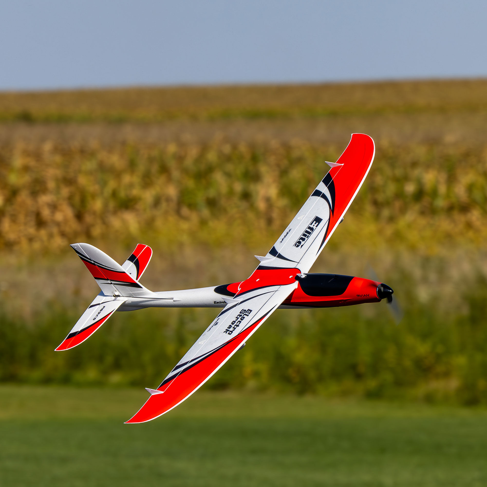 [���ܼ�] EFL13350 [E-FLITE(Blade)] ElectroStreak 1.1m BNF Basic (AS3X �� SAFE Select ����)