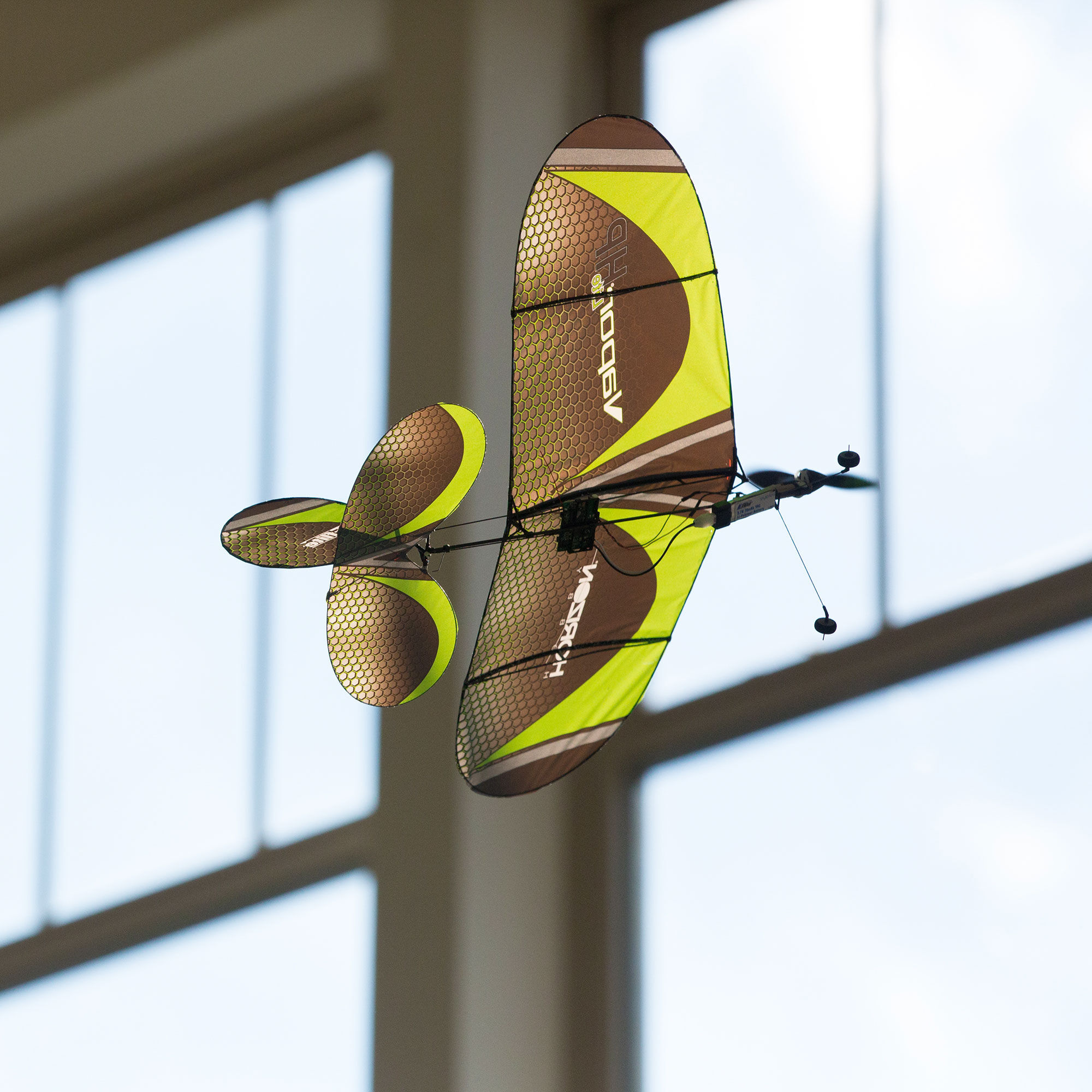 E-Flite Ruder Für UMX Vapor Lite HP – Ersatzsteuerfläche Für Modellflugzeug, Kompatibel Mit Horizon Hobby