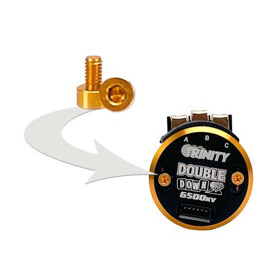 Double Down Gold Aluminum Timing Screws (2) Double Down Gold Aluminum Timing Screws (2)