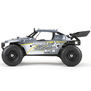 1/18 Roost 4WD Desert Buggy Brushed RTR, Grey/Yellow