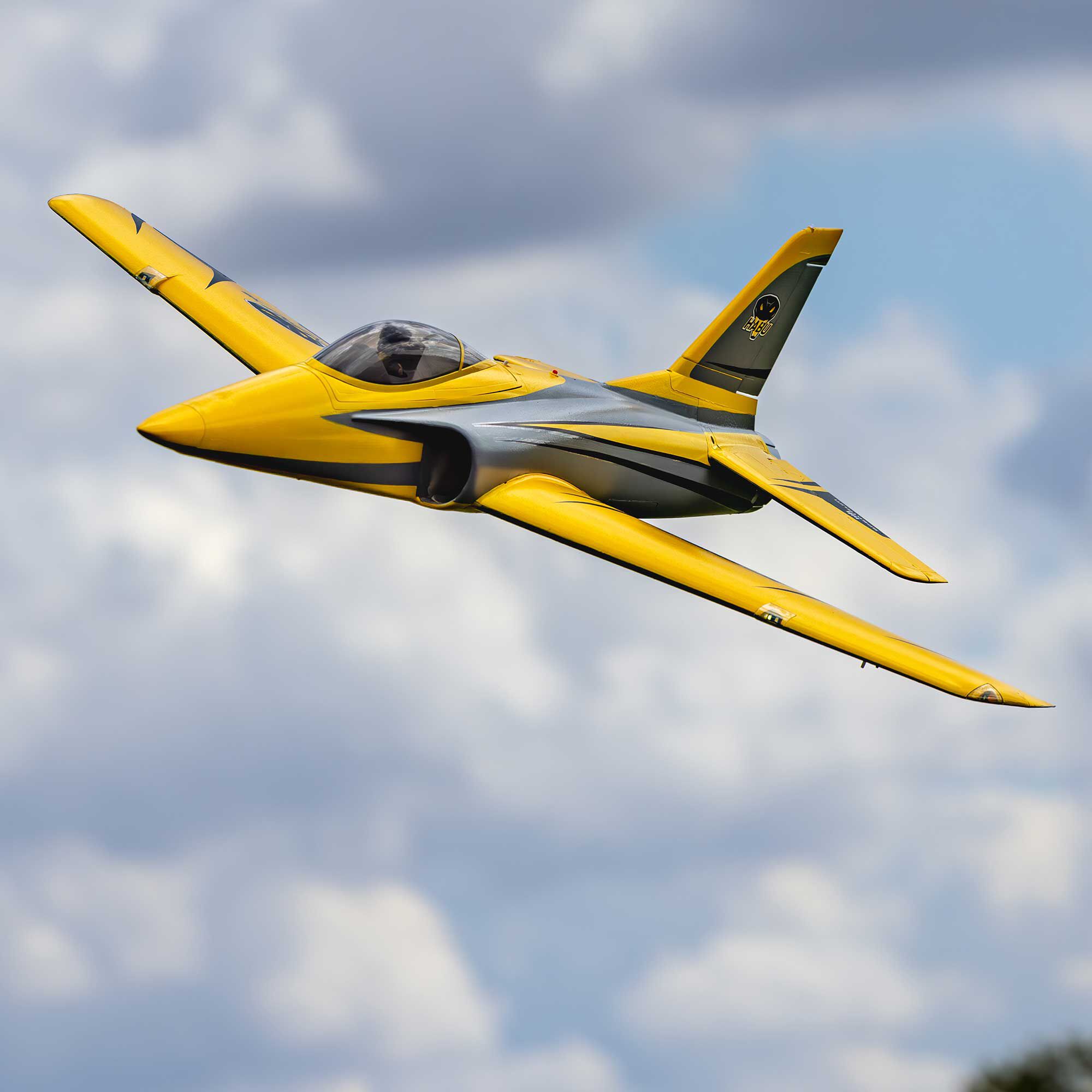 E-flite E-flite Habu XS (eXtra Sport) 80mm EDF BNF Basic with