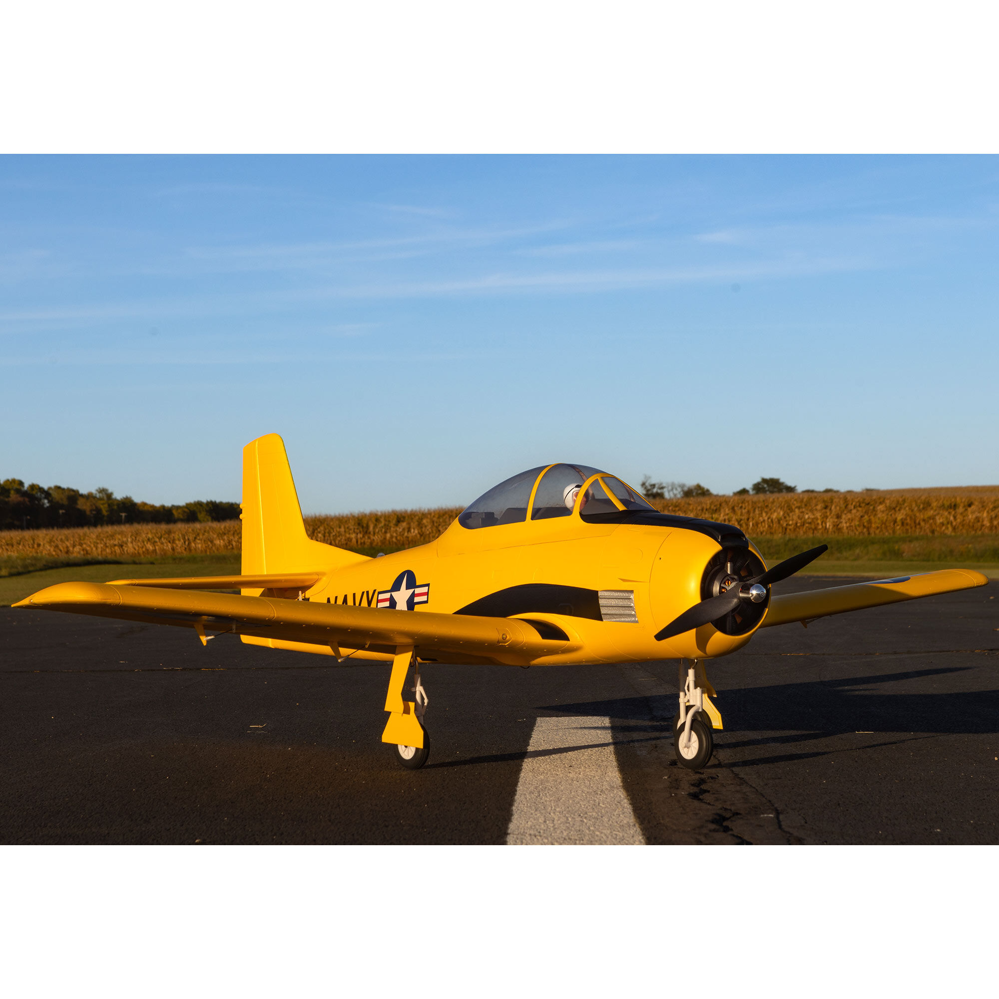 [���ܼ�] EFL013550 [E-FLITE] Carbon-Z T-28 Trojan 2.0m BNF Basic with AS3X and SAFE Select
