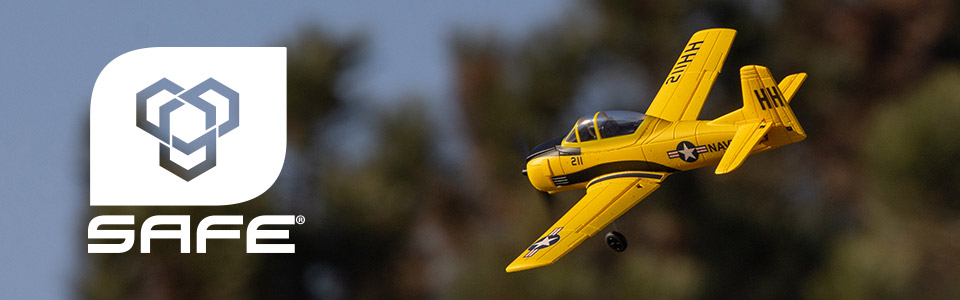 Learn to Fly Successfully with SAFE&reg; Technology
                