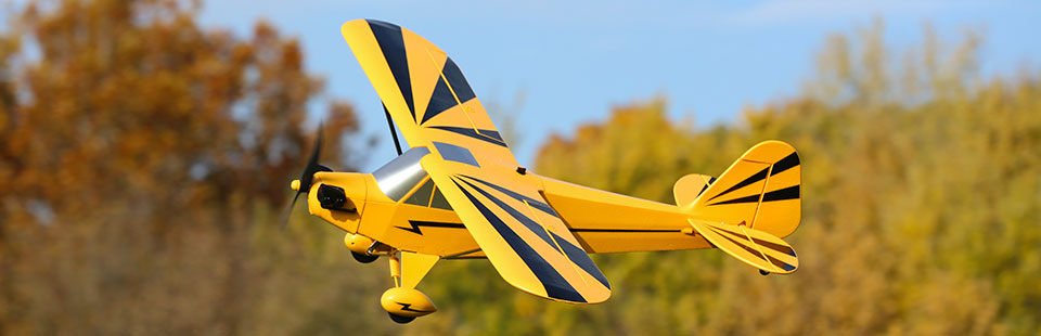 E-flite Clipped Cub PNP Airplane